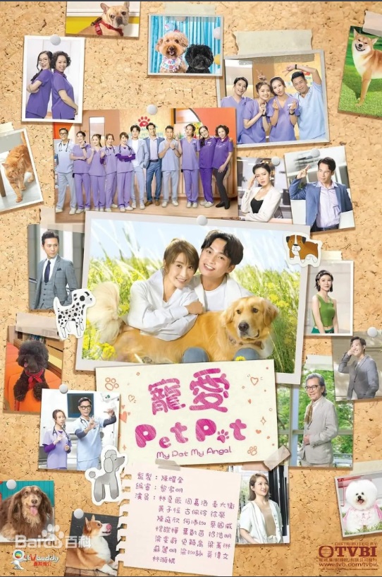 谮Pet Pet ݣޱܼ塢١Ӻ㡢ͥҶĪΰġε